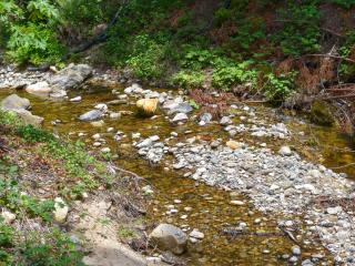 A shallow creekbed